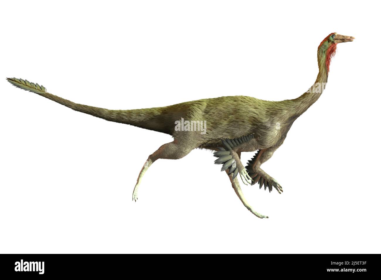 Kunstwerk des Dinosauriers Gallimimus Stockfoto