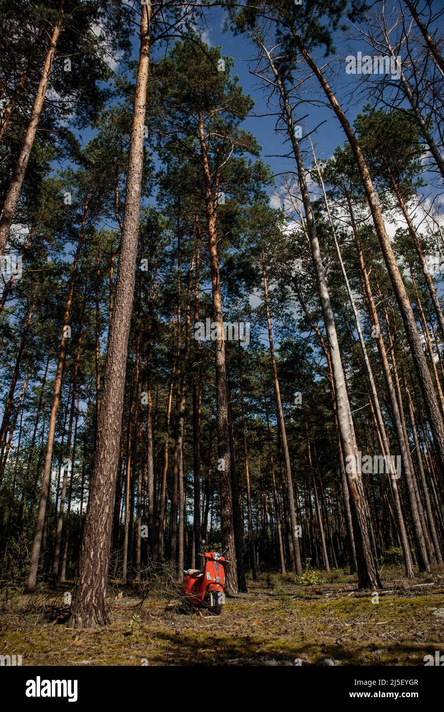 Schöner verlassener roter Roller allein mitten im Nirgendwo im Wald Stockfoto