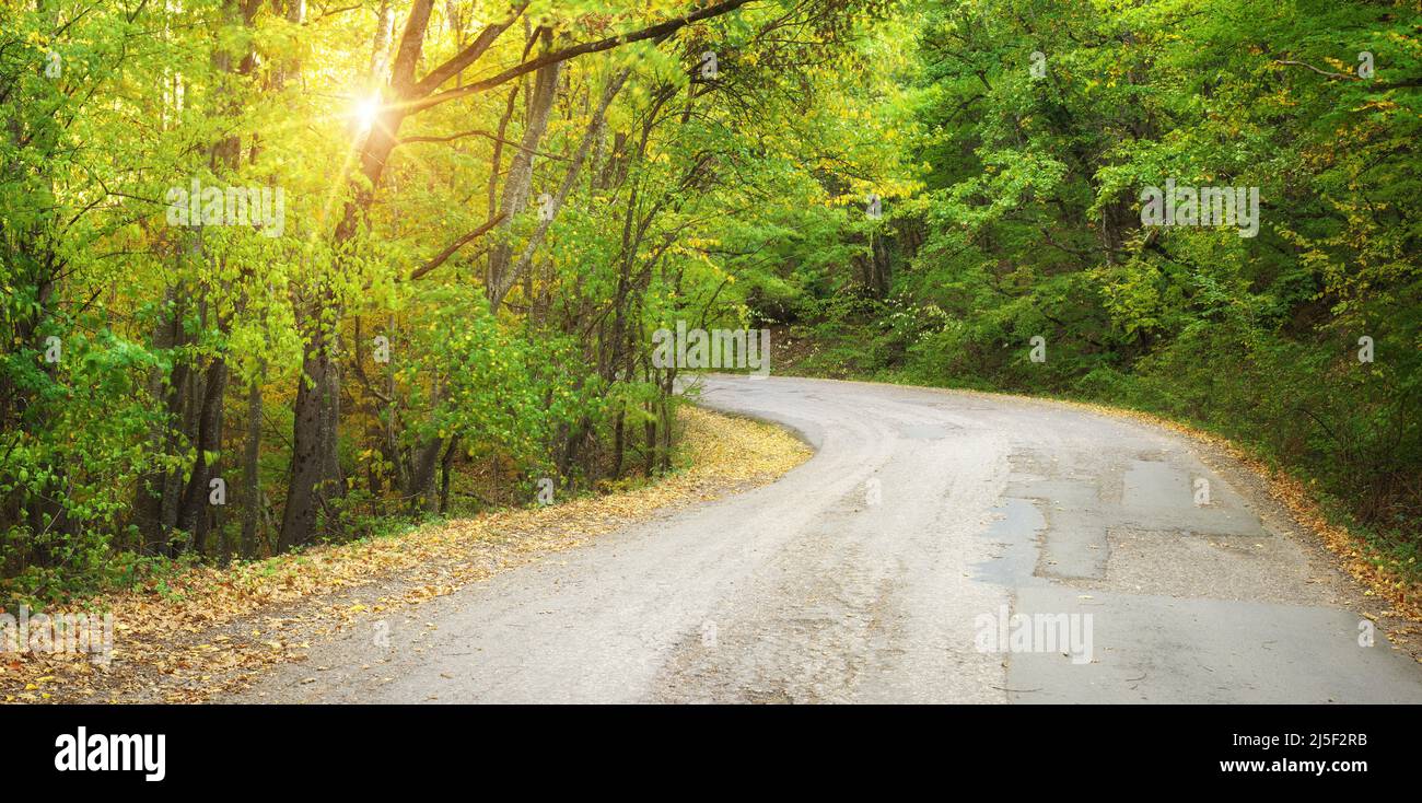 Herbststraße und Sonnenstrahlen. Wunderschöne Naturlandschaft. Stockfoto