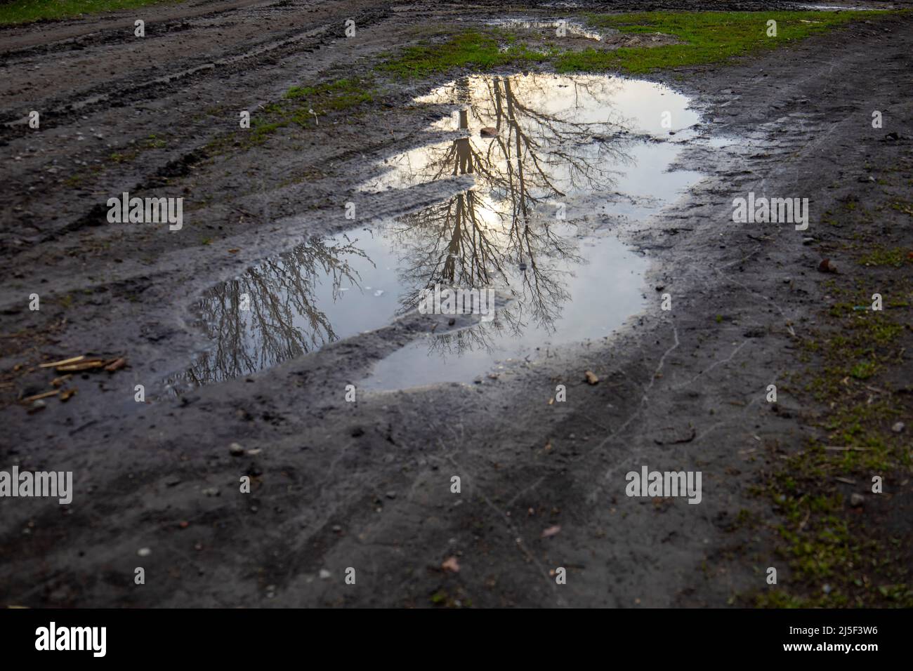 Pfütze auf einer unbefestigten Straße mit grünem Gras Stockfoto