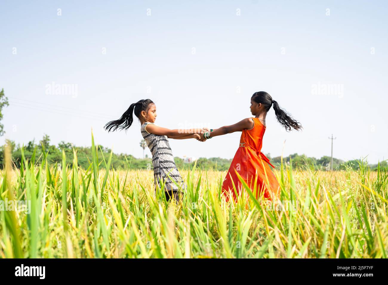 Junge Teenager Mädchen Kinder spielen in der Mitte des Reisfeldes während der Erntezeit - Konzept von Glück, spielerische Kindheit und Dorf Lebensfreude Stockfoto