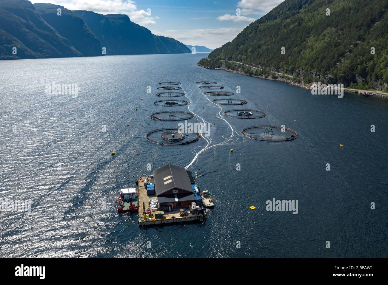 Bauernhof Lachs Angeln in Norwegen. Norwegen ist der größte Produzent von Zuchtlachs in der Welt, mit mehr als einer Million Tonnen pro Jahr produziert werden. Stockfoto