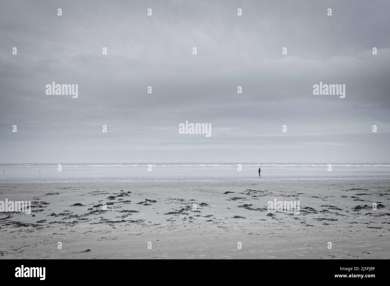 Einfiguriger Spaziergang entlang der Gezeitenlinie am Strand von Tyrella, Nordirland, an einem bewölkten Winternachmittag; wolkiger Himmel; Algen auf Sand im Vordergrund. Stockfoto