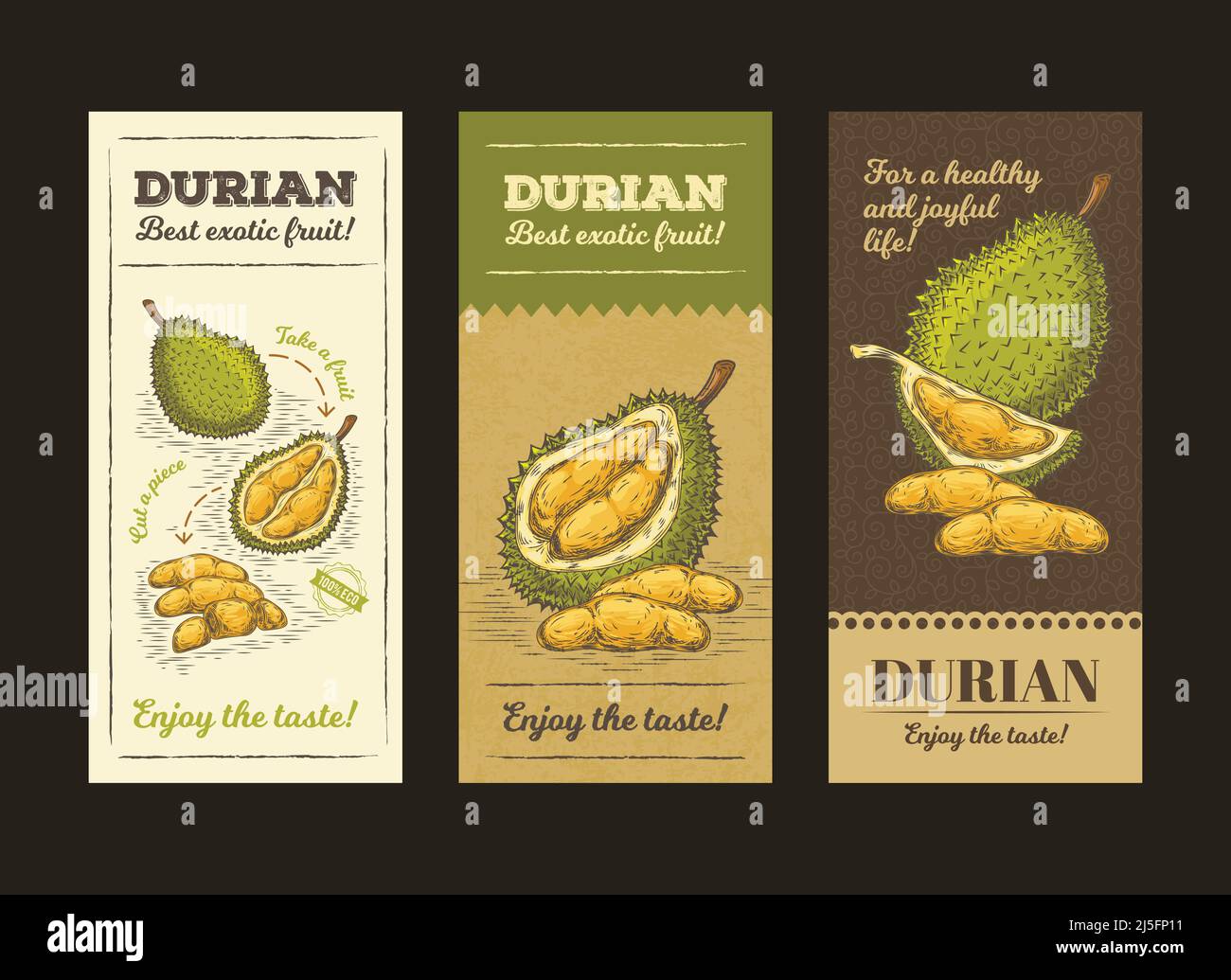 Vektor-Illustration in Design-Verpackung für Durian Obst, Template-Etikett, moc up in Stil Gravur Stock Vektor