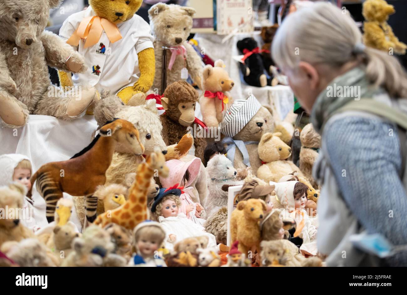 Sammler teddybären -Fotos und -Bildmaterial in hoher Auflösung – Alamy