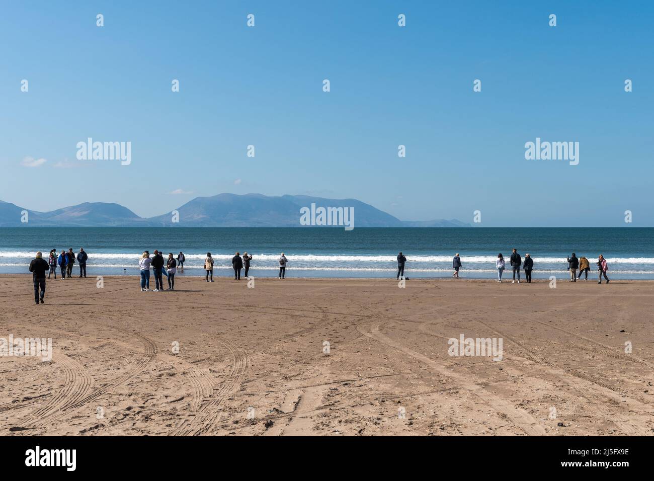 Inch Beach, County Kerry, Irland. 23. April 2022. Die Sonne schien heute auf Inch Beach, County Kerry. Trotz der Sonne und der warmen Temperaturen war der Strand relativ ruhig, aber es wurde immer geschäftiger. Quelle: AG News/Alamy Live News Stockfoto