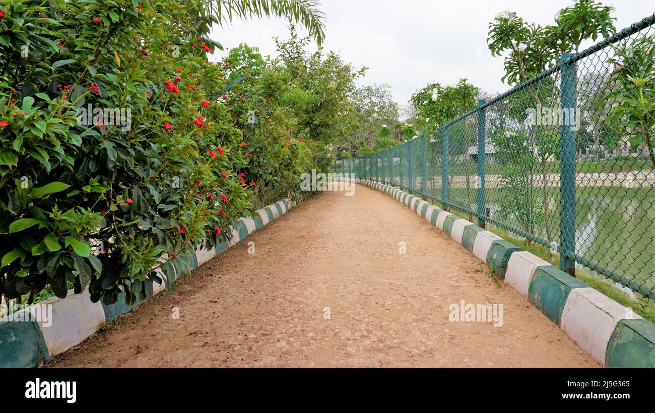 Bangalore, Karnataka, Indien: April 23 2022: Wunderschöne Aussicht auf den Kalena Agrahara See von BBMP. Verteilt auf 7 Hektar mit Süßwasser, dickem Grün lak Stockfoto