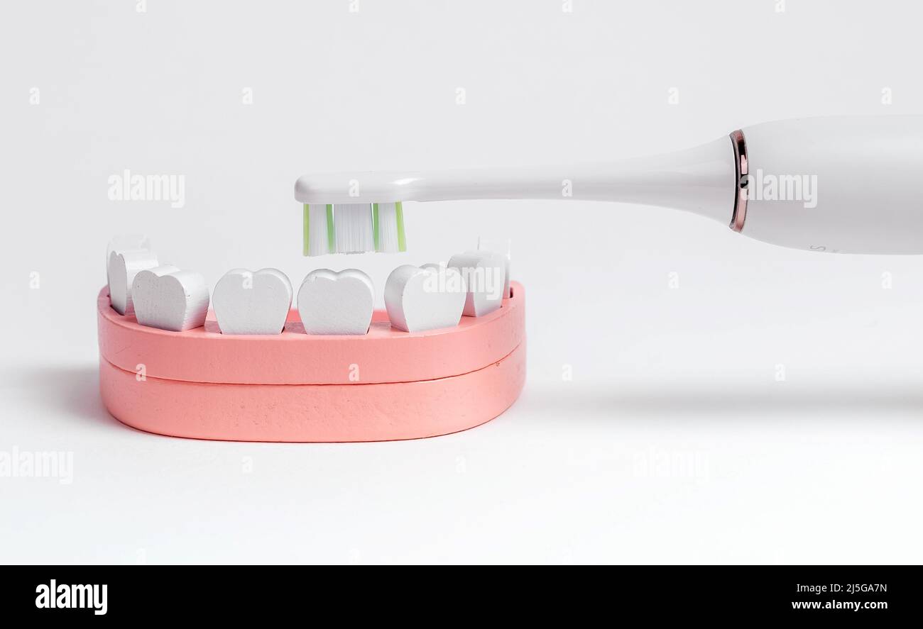 Elektrische Zahnbürste Zähneputzen im Kiefer-Modell. Tägliche Mundpflege und Zahnaufhellung, Kinder Milch Zahnhygiene, Plaque entfernen Konzept. Hochwertige Fotos Stockfoto