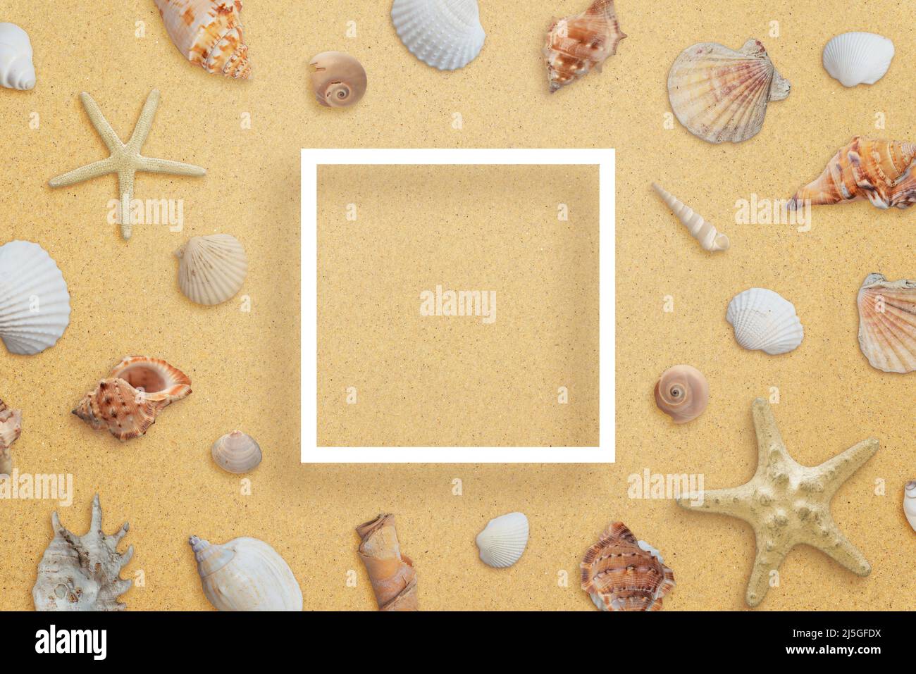 Quadratischer weißer Papierrahmen am Strand, umgeben von Muscheln. Kreative Komposition mit Kopieplatz in der Mitte Stockfoto