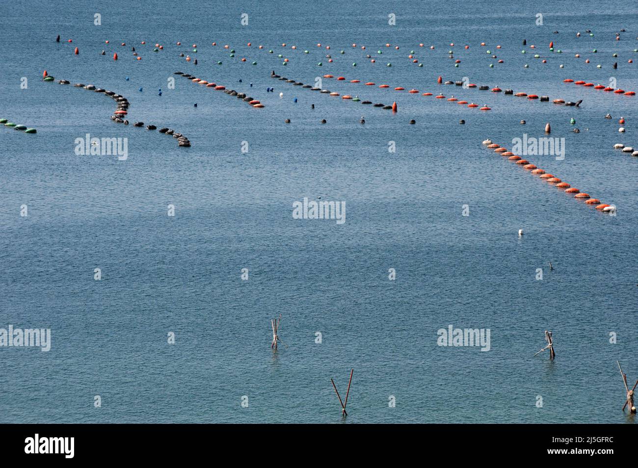 Taranto, Italien 23/09/2012: Anbau von Taranto-Muscheln in Mare Piccolo. ©Andrea Sabbadini Stockfoto