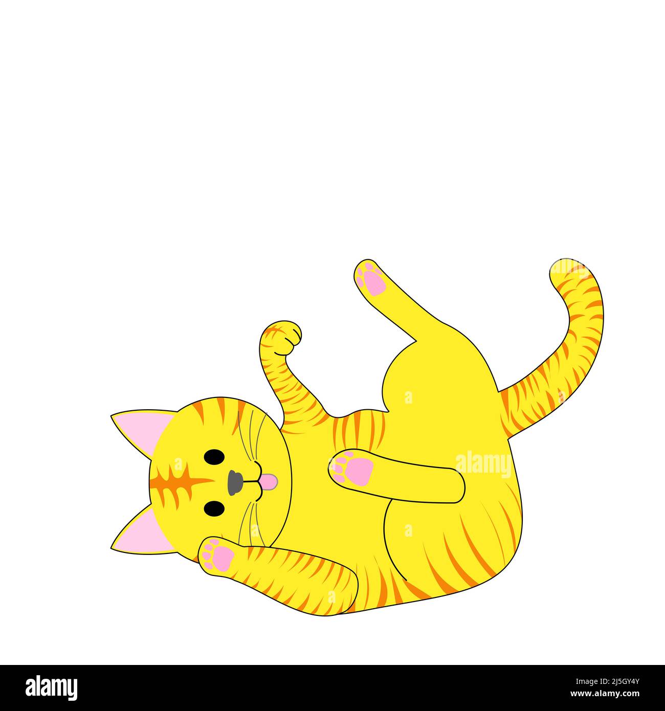 Eine spielende Tabby-Katze mit weißem Hintergrund Stockfoto