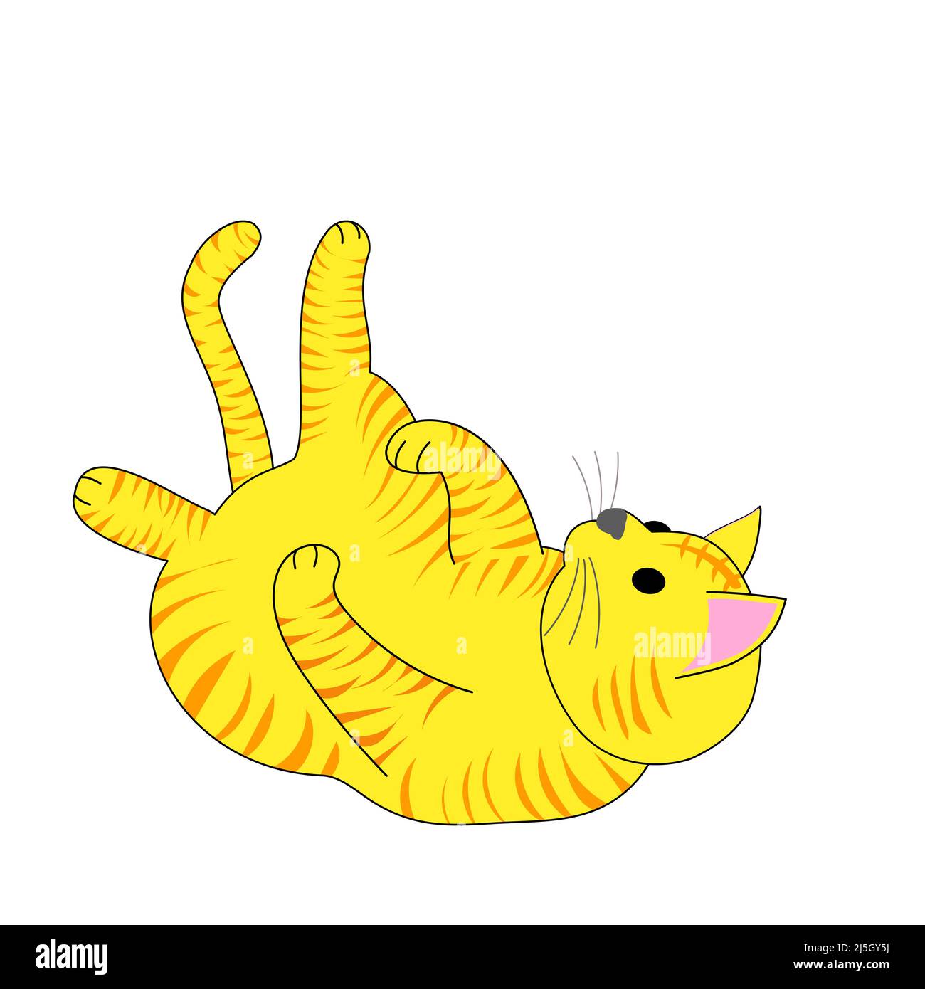 Eine spielende Tabby-Katze mit weißem Hintergrund Stockfoto