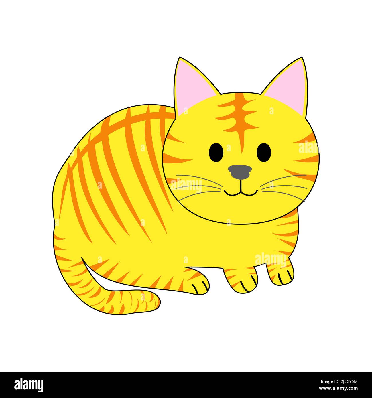 Sitzende tabby Katze mit weißem Hintergrund Stockfoto