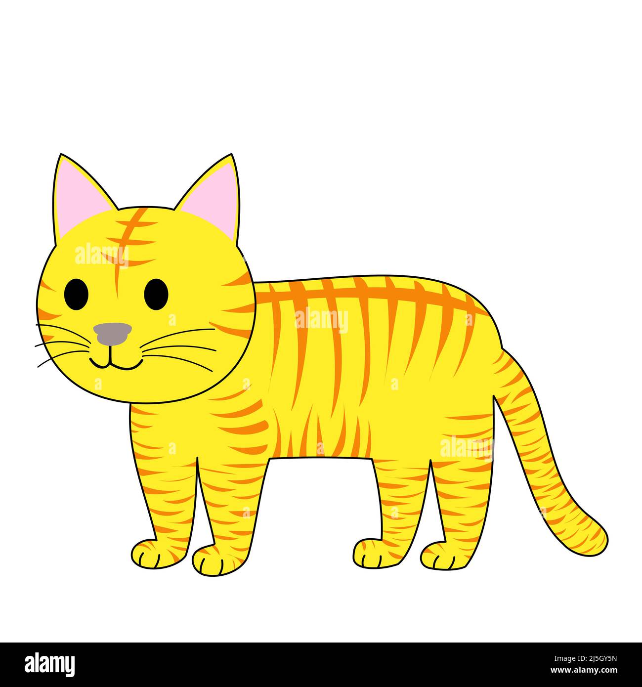 Eine stehende tabby Katze mit weißem Hintergrund Stockfoto