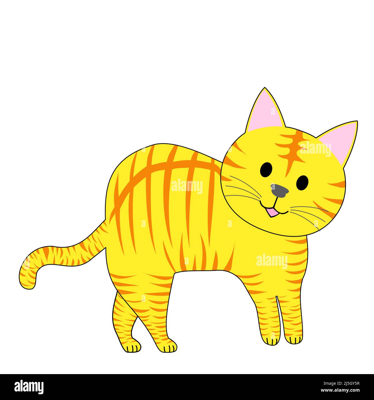 Eine stehende tabby Katze mit weißem Hintergrund Stockfoto