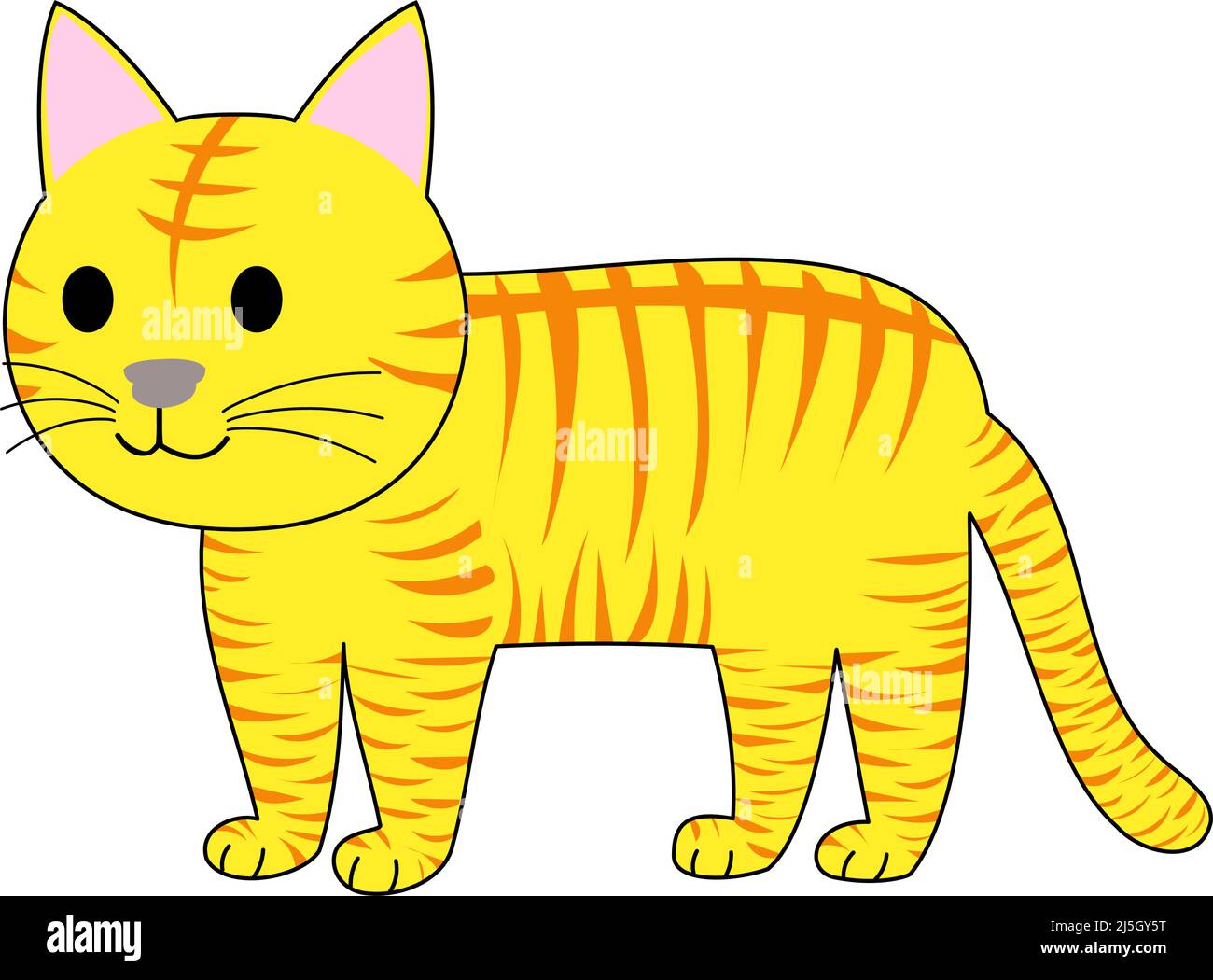 Eine stehende tabby Katze mit weißem Hintergrund Stockfoto
