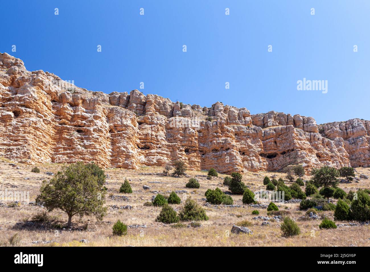 Naturpark Hoces del Río Riaza, Montejo de la Vega de Serrezuela, Segovia, Spanien Stockfoto