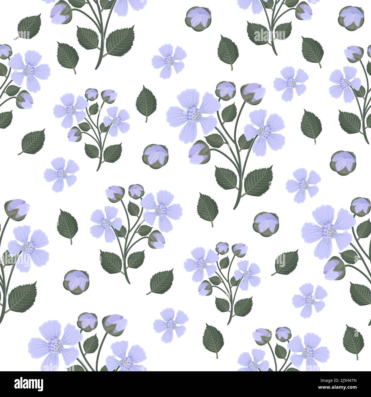 Brombeerblüten, nahtloses Muster in sanften Farben Stock Vektor