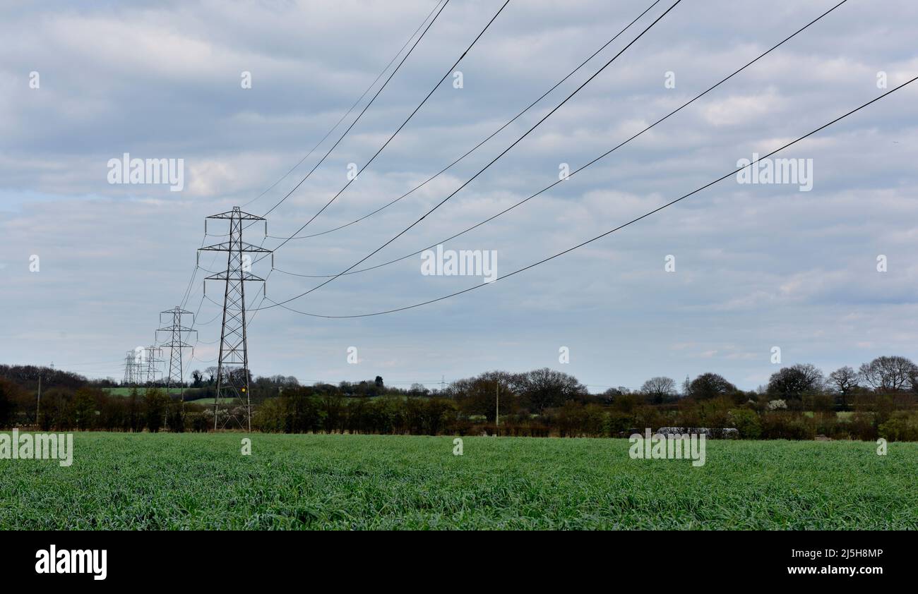 Eine Reihe von Hochspannungsmasten und Drähten über dem Ackerland außerhalb von Bristol, Großbritannien Stockfoto