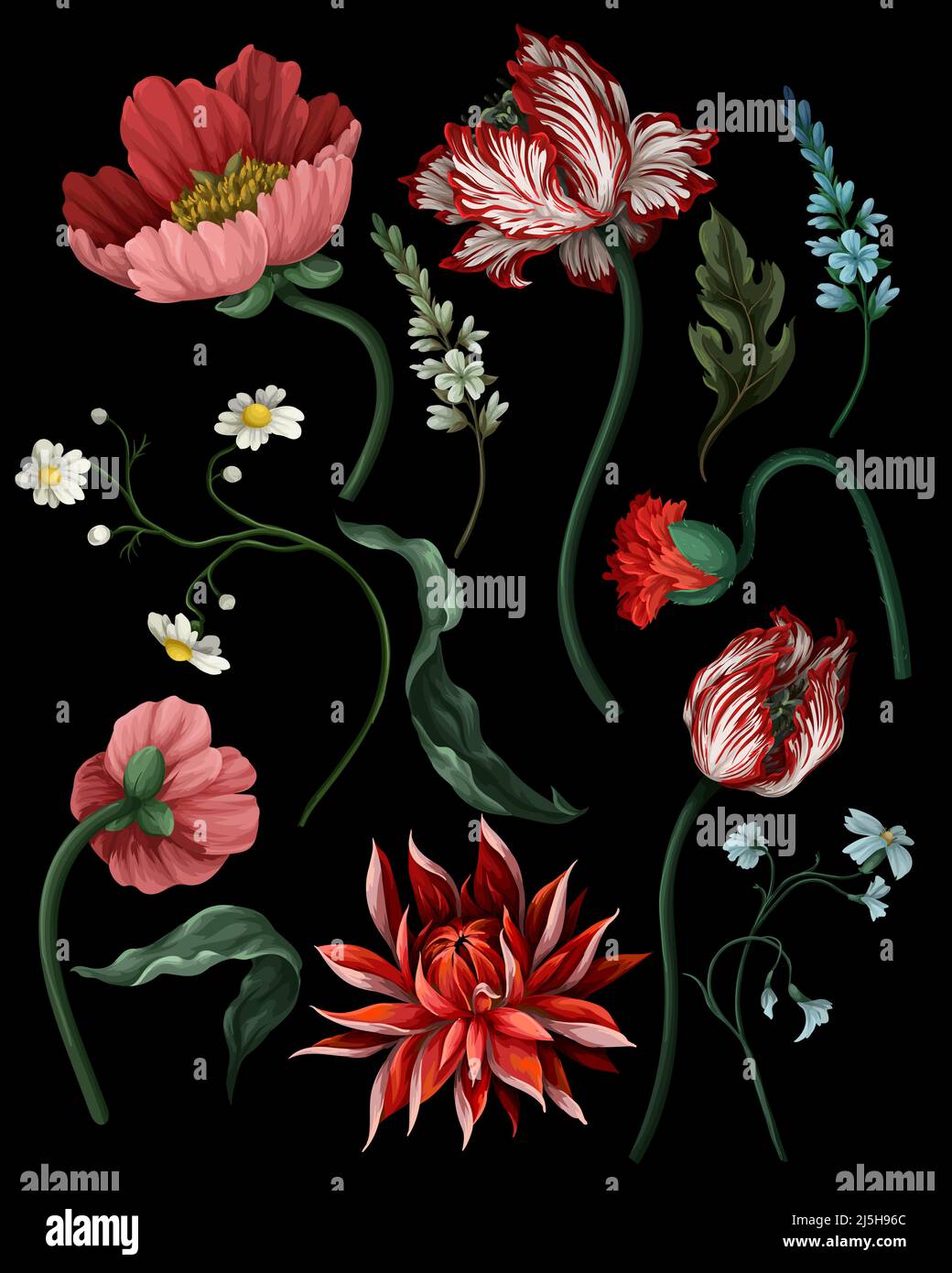 Botanische viktorianische Blumen und Käfer isoliert. Tulpe, Pfingstrose und andere. Stock Vektor