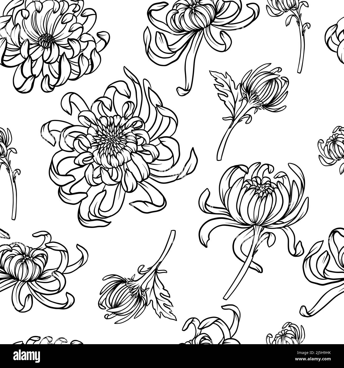 Nahtloses Muster mit monochromen Chrysanthemen. Vektor-Trenddruck. Stock Vektor