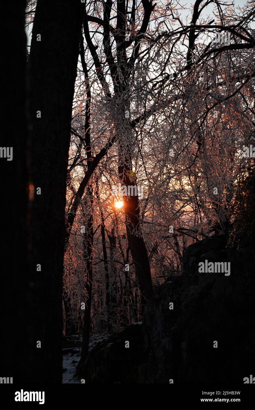 Sonnenaufgang Gipfel Durch Gefrorenen Winterwald Stockfoto