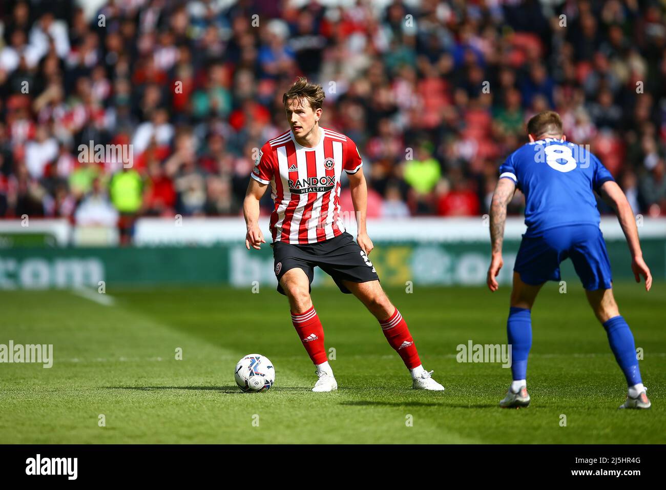 Bramall Lane, Sheffield, England - 23. April 2022 Sander Berge (8) von Sheffield United - während des Spiels Sheffield United gegen Cardiff City, Sky Bet Championship 2021/22, Bramall Lane, Sheffield, England - 23. April 2022 Credit: Arthur Haigh/WhiteRoseFotos/Alamy Live News Stockfoto