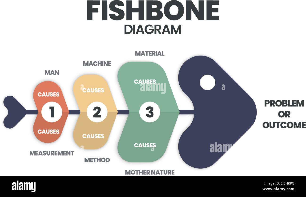 Ein Fischgrät- oder Ursache-Wirkung- oder Ishikawa-Diagramm ist ein Brainstorming-Tool, um die Grundursachen eines Effekts zu analysieren. Der Vektor zeigte einen Fischschellen Stock Vektor