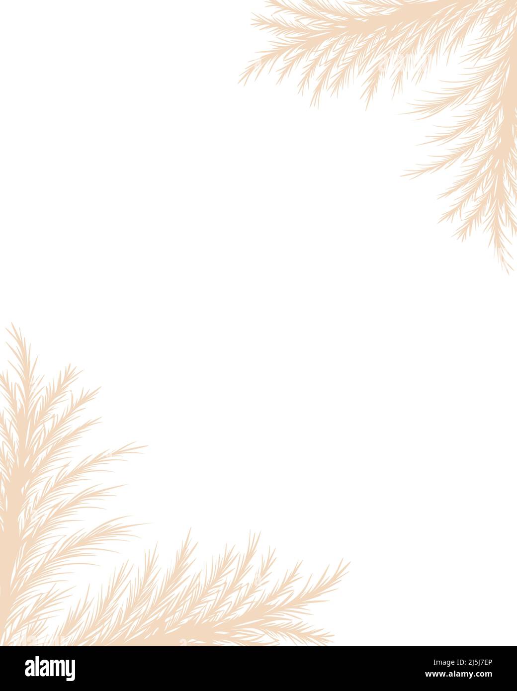 Trockenes Pampagras. Rahmendesign mit floralem Rand. Beige cortaderia im Boho-Stil. Vektor getrocknete Blumen isoliert auf weißem Hintergrund. Trendige Vorlage für Stock Vektor