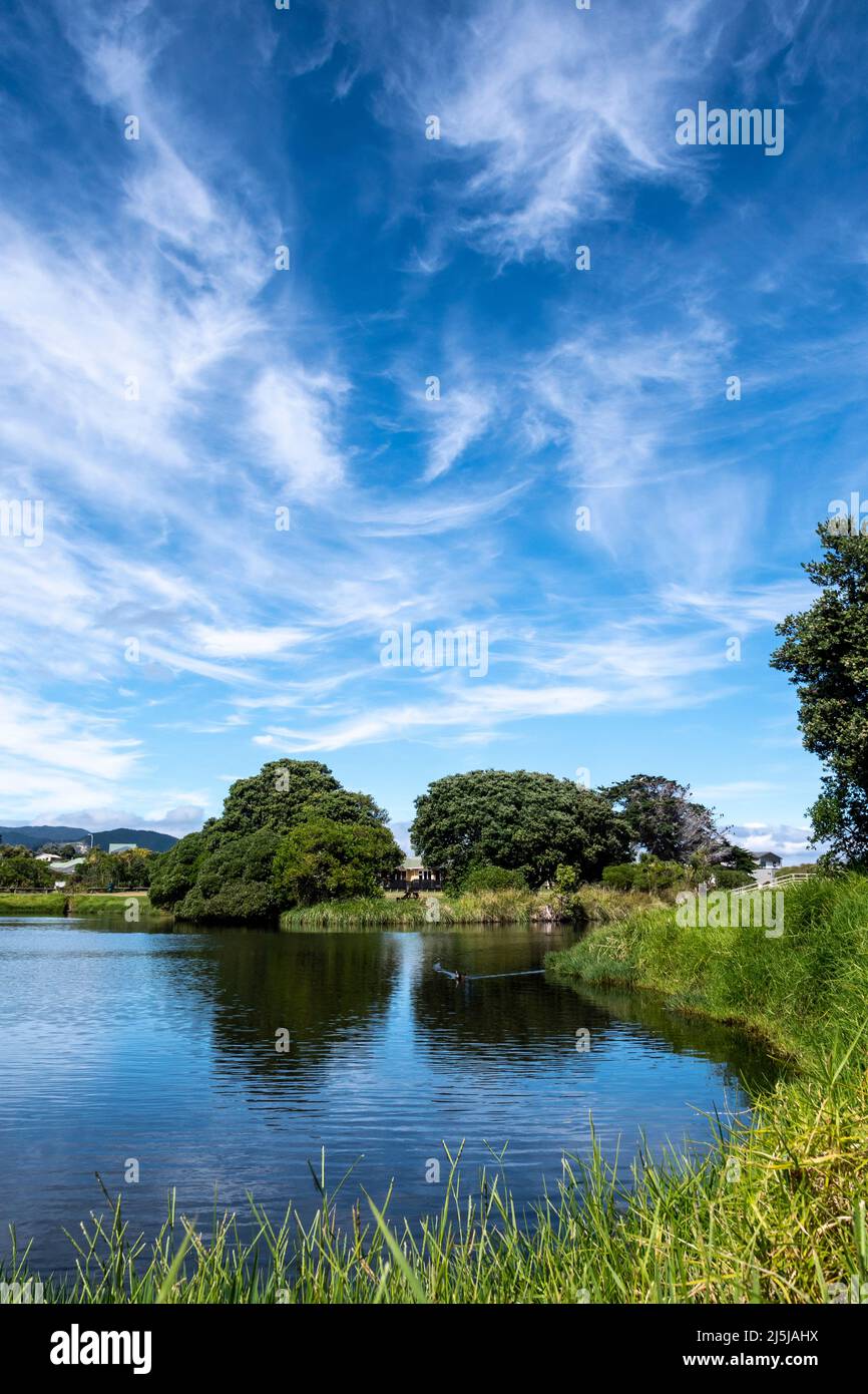 Feuchtgebiet-Lagune in der Nähe von Waikanae Beach, Kapiti District, North Island, Neuseeland Stockfoto