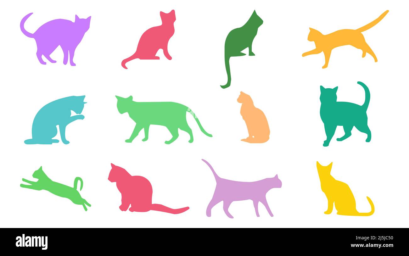 Farbenfrohes Katzevektorsymbol auf weißem Hintergrund Stock Vektor