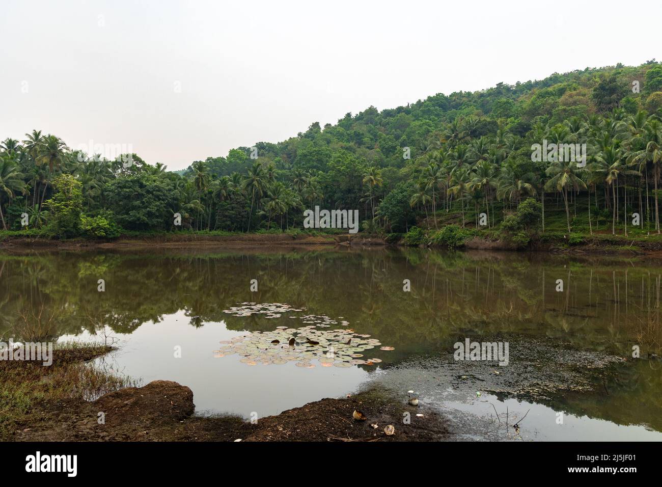 Schöne Aussicht am frühen Morgen auf Shri Vijayadurga Tempel See bei Querim, Ponda, Goa Stockfoto