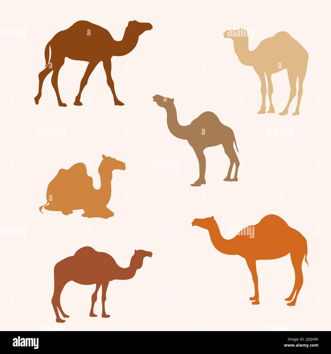 Camel Bunte Vektor-Element-Set Stock Vektor