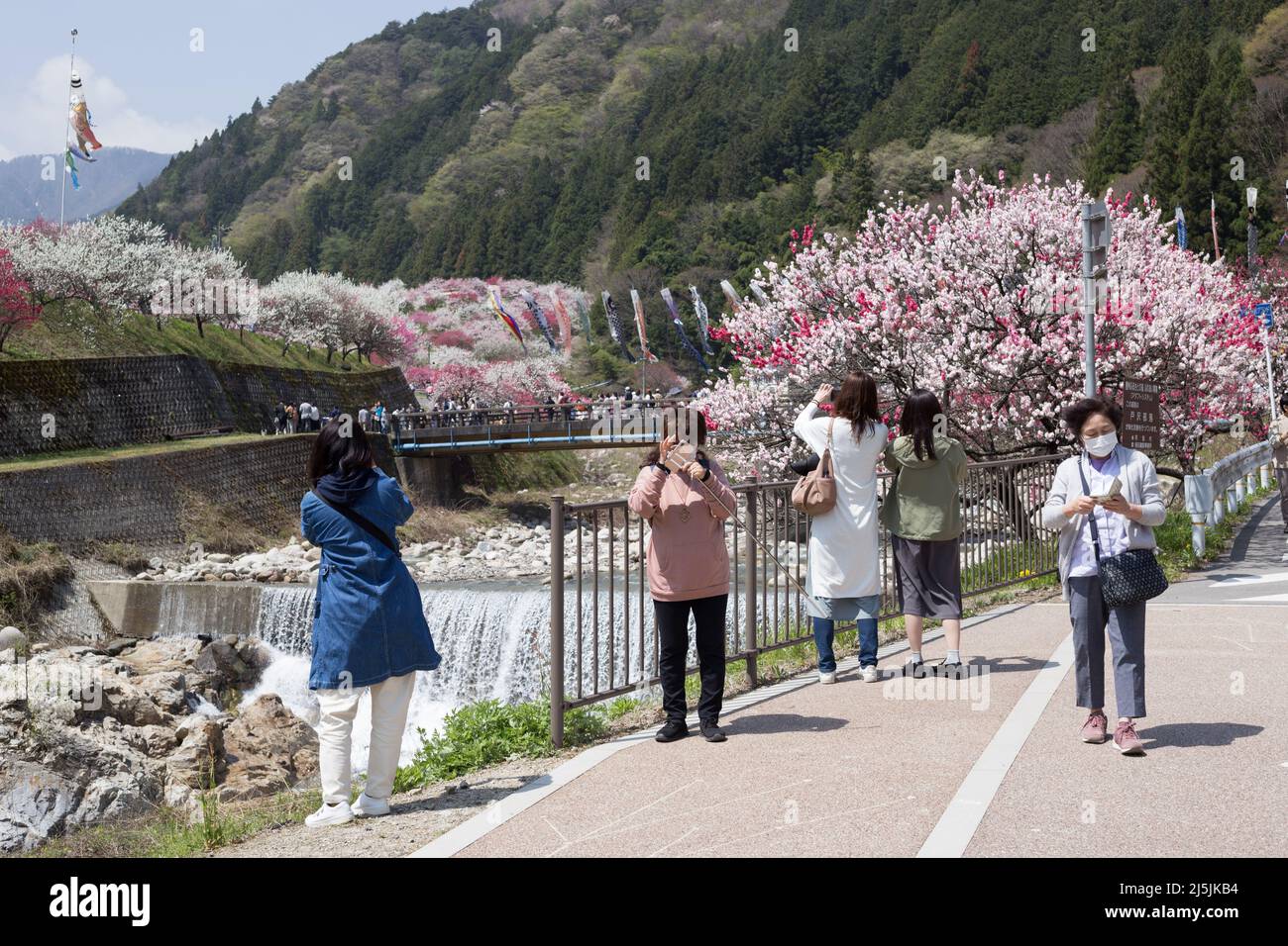 achi Village, nagano, japan, 2022/23/04 , Achi-mura Village in Nagano ist einer der besten Orte, um Pfirsichblüten zu sehen. Achi-mura in der Präfektur Nagano Stockfoto