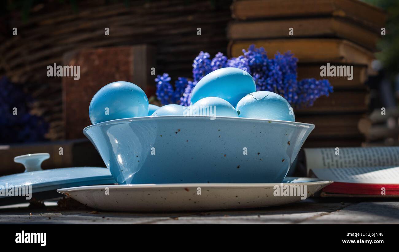 Blaue Eier in einem gusseisernen Topf mit antiken Büchern im Hintergrund. Osterlaune. Stockfoto