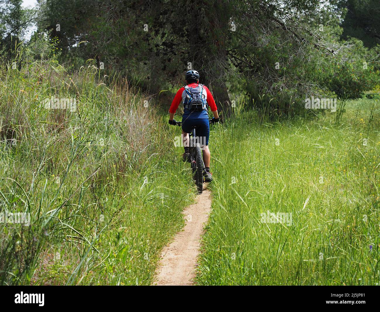 Radfahrer auf der israelischen Einbahnstrecke NIR Moshe Stockfoto