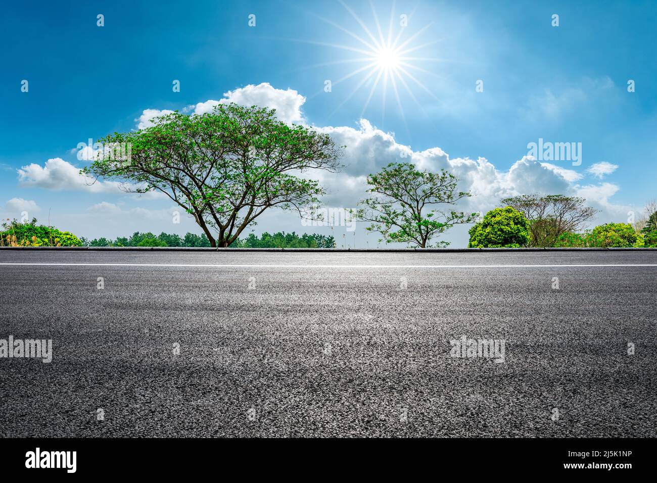 Asphaltstraße und grüne Baumlandschaft an einem sonnigen Tag Stockfoto