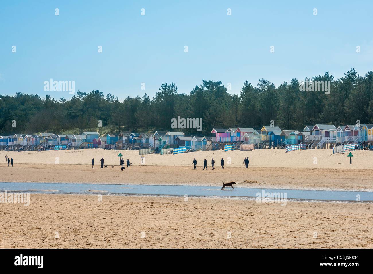 People Beach UK, Blick auf Menschen, die am Strand von Wells-next-the-Sea an der nördlichen Norfolk-Küste, England, Großbritannien, spazieren gehen Stockfoto