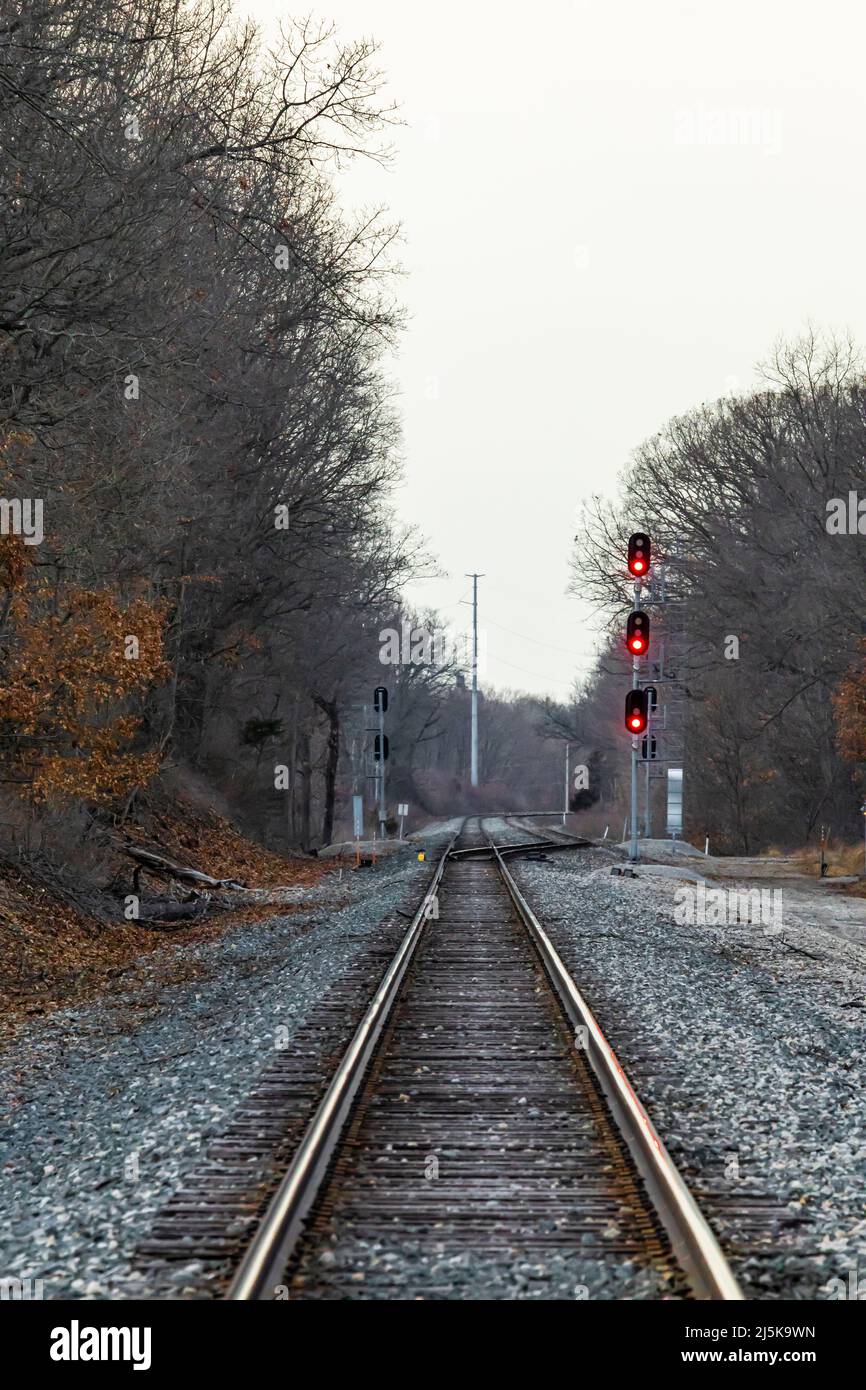 Norfolk Southern- und Amtrak-Bahnschienen in der Nähe des Historic Bridge Park in Calhoun Country in der Nähe von Battle Creek, Michigan, USA Stockfoto