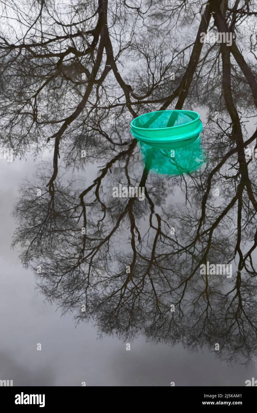 Grüner Eimer, der zwischen Baumreflexen auf einer Pooloberfläche schwimmt, Battle Creek, Michigan, USA Stockfoto