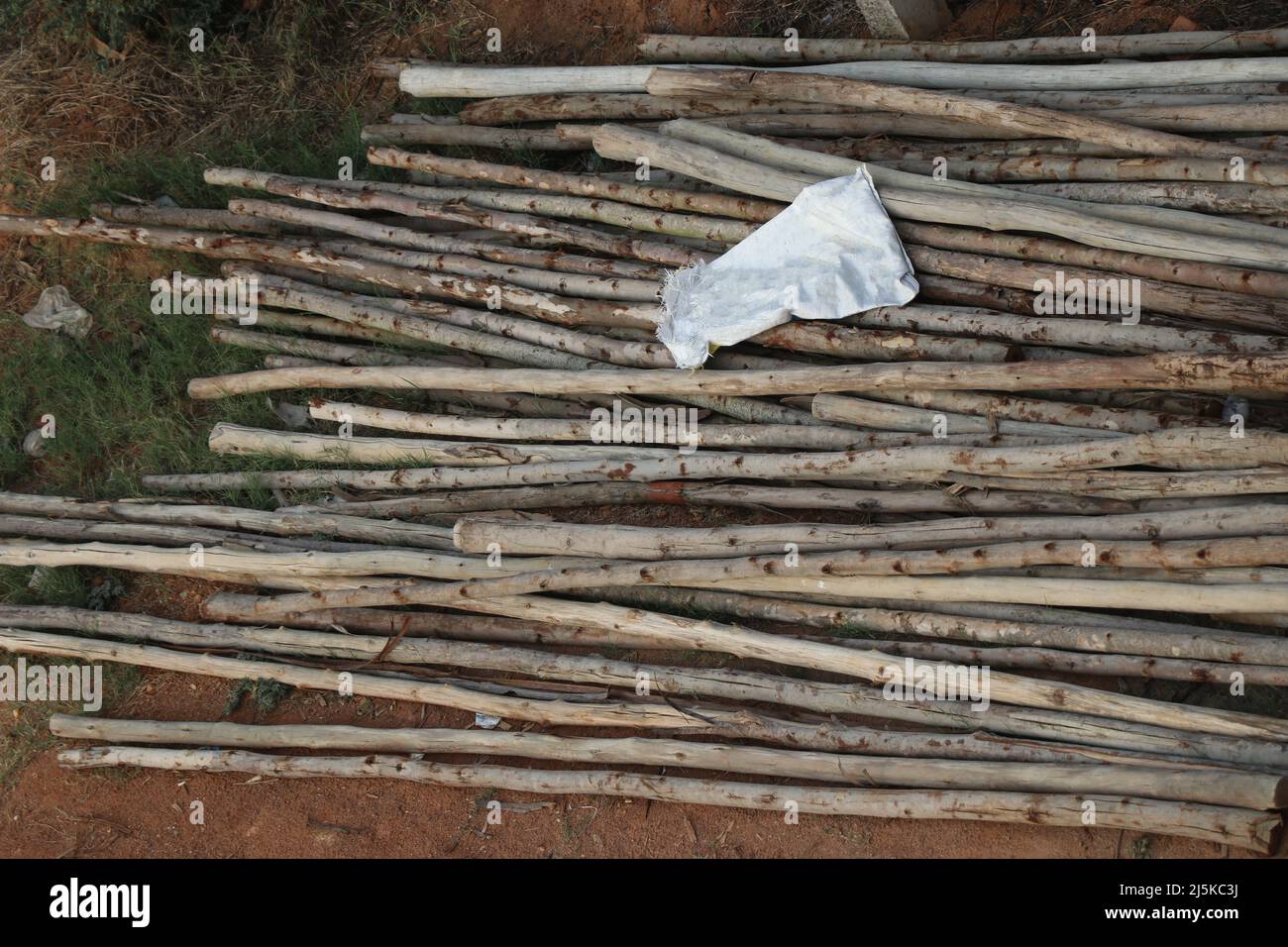Eine Gruppe von Stützstangen oder Holzstützen, die für die Konstruktion verwendet werden, heißt Gerüste, die auf dem Boden liegen Stockfoto