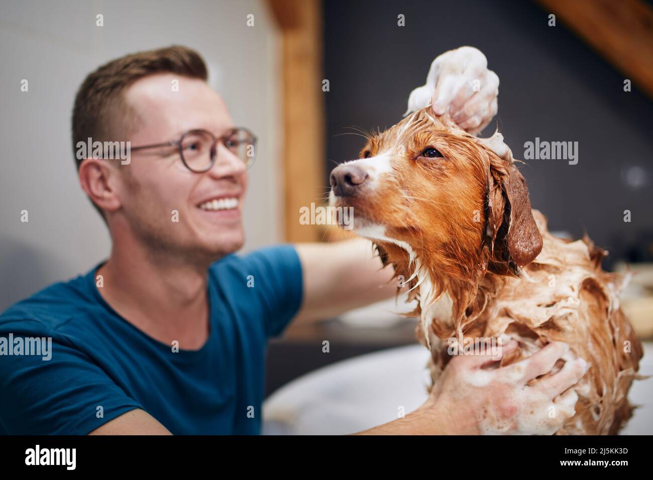 Hund nimmt Bad zu Hause. Baden von Nova Scotia Duck Tolling Retriever Stockfoto