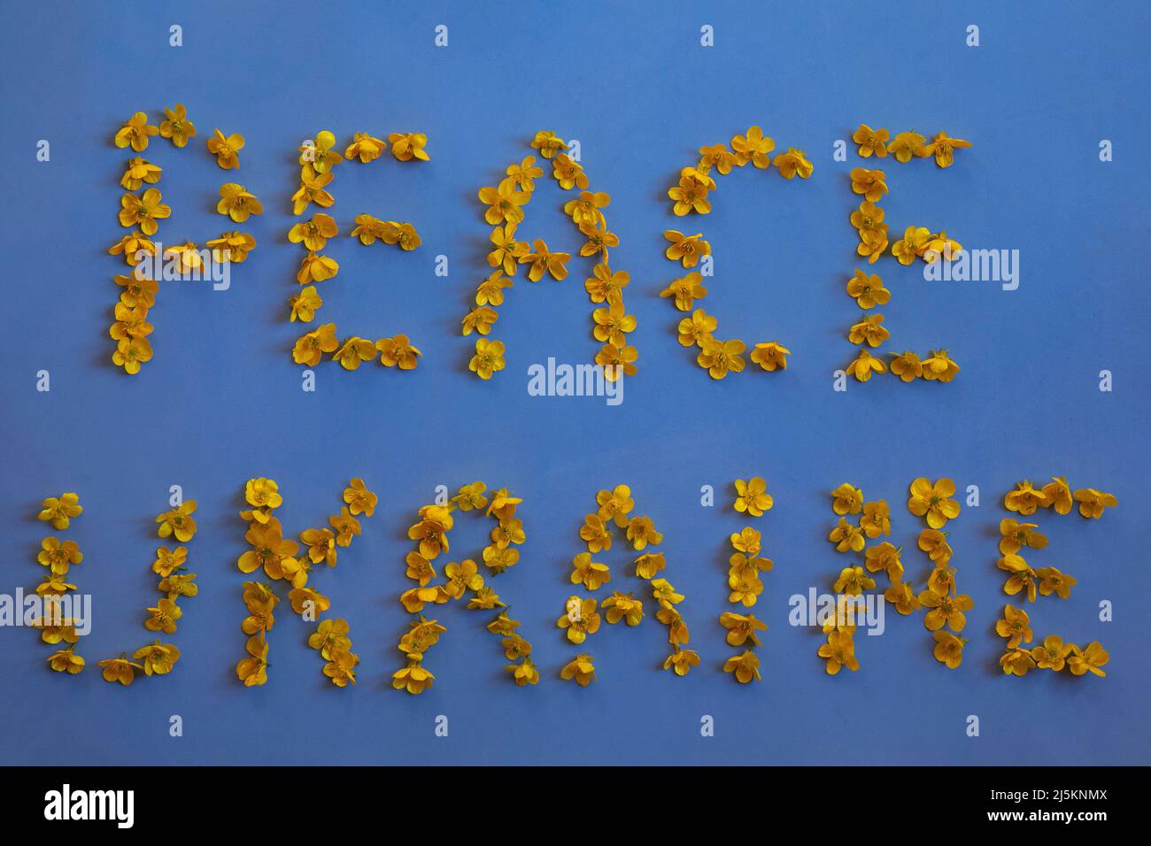 Die Inschrift „Peace Ukraine“ besteht aus gelben Blumen auf blauem Hintergrund als Symbol der ukrainischen Flagge Stockfoto