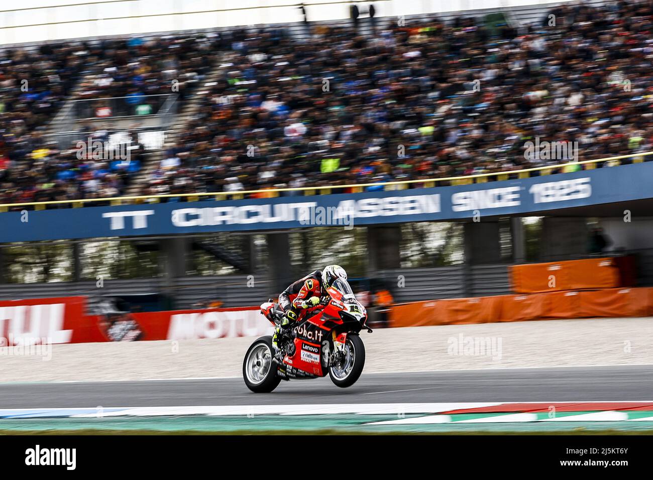 ASSEN - Alvaro Bautista (ESP) auf seiner Ducati beim World Superbike Rennen auf dem TT Circuit Assen. ANP VINCENT JANNINK Stockfoto