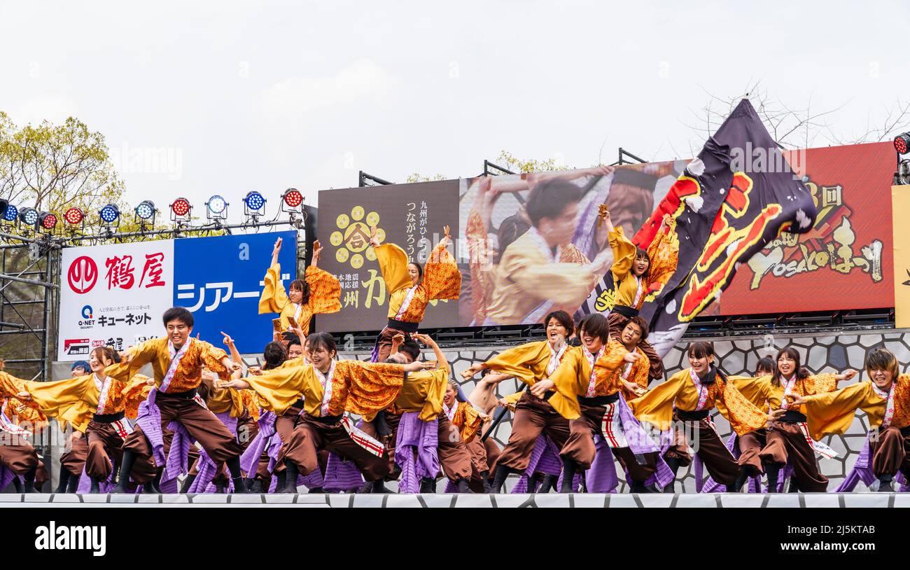 Japanisches Team von Yosakoi-Tänzern, die in Yukata-Tuniken tanzen und Naruko, Klatschen, auf der Freiluftbühne des Kyusyu Gassai Festivals in Kumamoto halten. Stockfoto