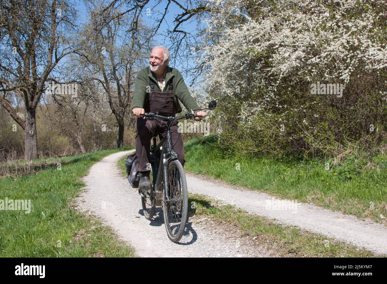 Älterer Mann fährt auf einer unbefestigten Straße, vorbei an blühenden Schlehbüschen und freut sich über den wunderbaren Frühlingstag in schwierigen Zeiten. Stockfoto