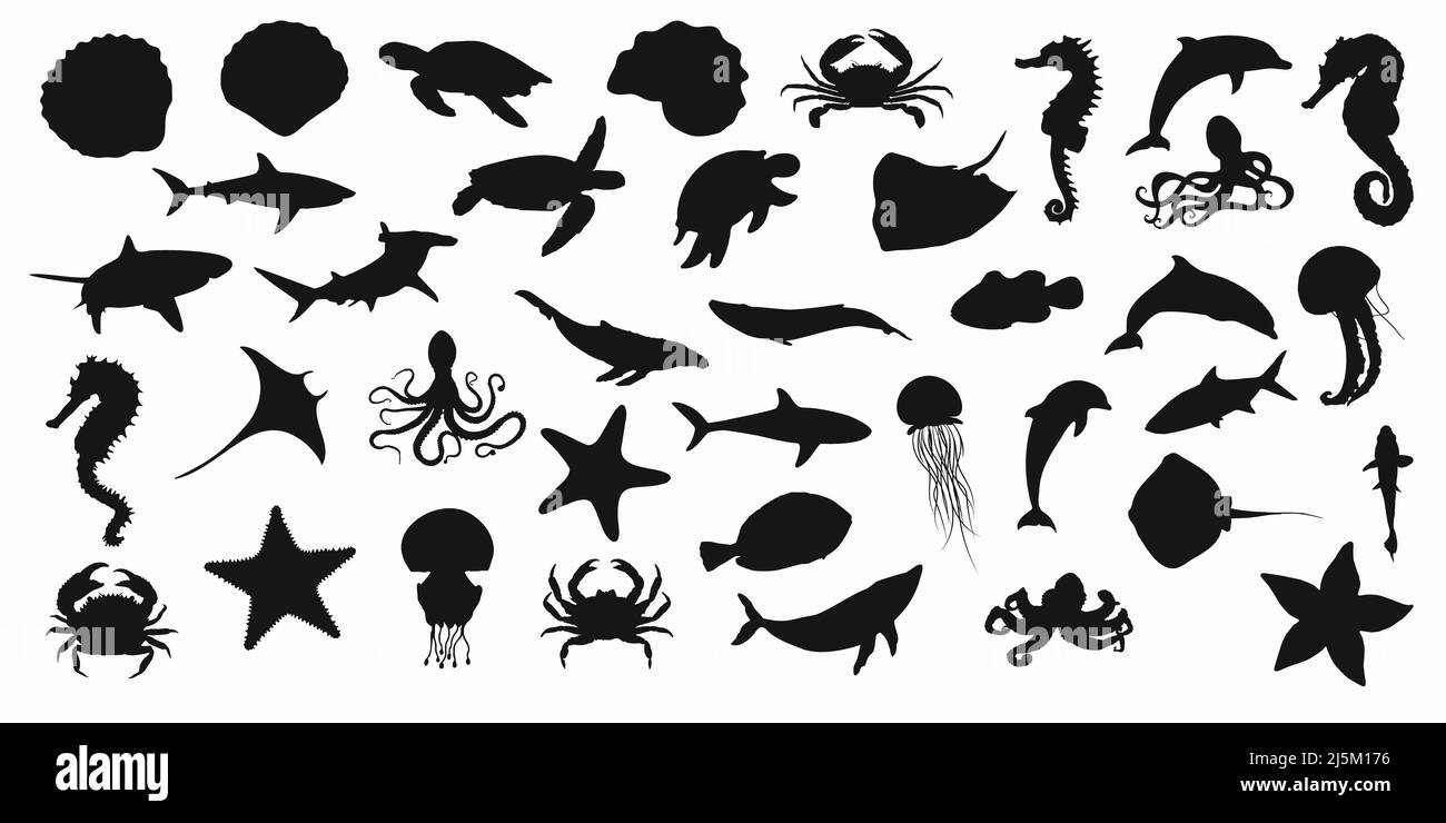 Sammlung von schwarzen Set Silhouetten von Fischen, Seepferd, Muscheln, Oktopusse, Delfine, Haie, Wale, Krebse und Stachelrochen auf weißem Hintergrund. Vektor Stock Vektor