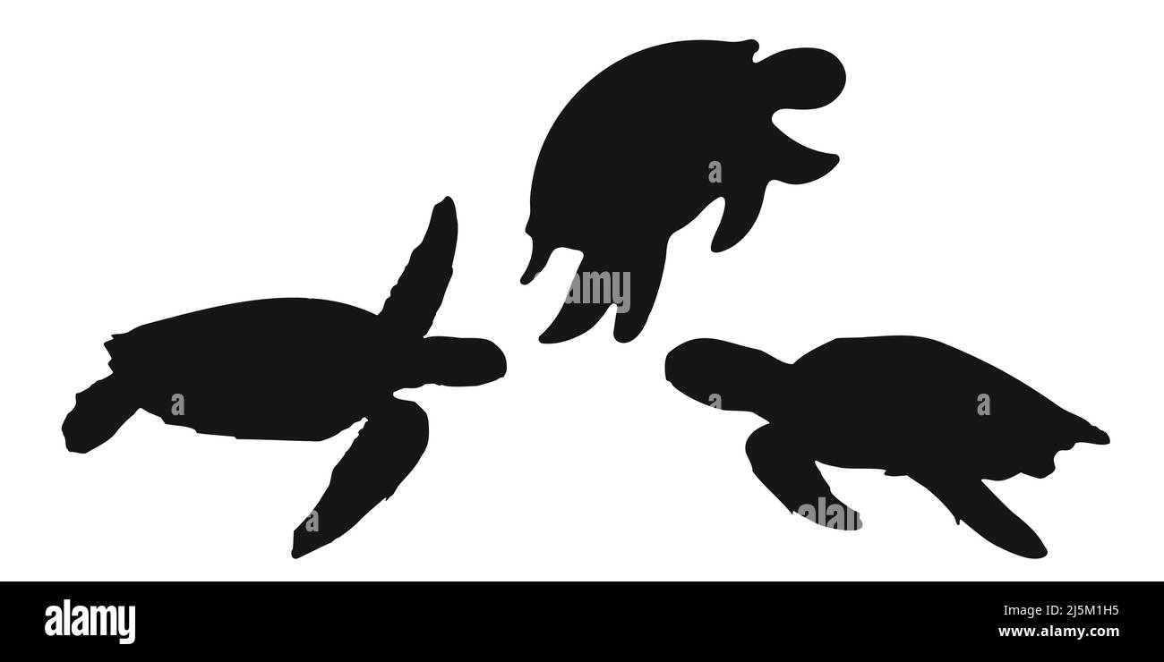 Setzen Sie das Symbol für die schwarze Schildkröte oder Schildkröte auf weißen Hintergrund. Vektorgrafik Clipart. Stock Vektor