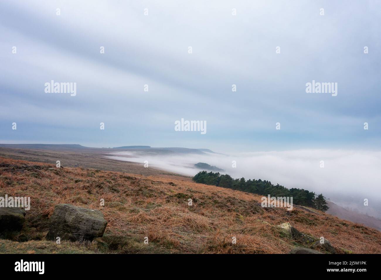 Ungewöhnlicher Blick auf Ilkley Moor westlich des Moorlandes und der Kiefern aus dem Rocky Valley mit einer wogenden Wolkeninversion, Wesst Yorkshire, Engl Stockfoto