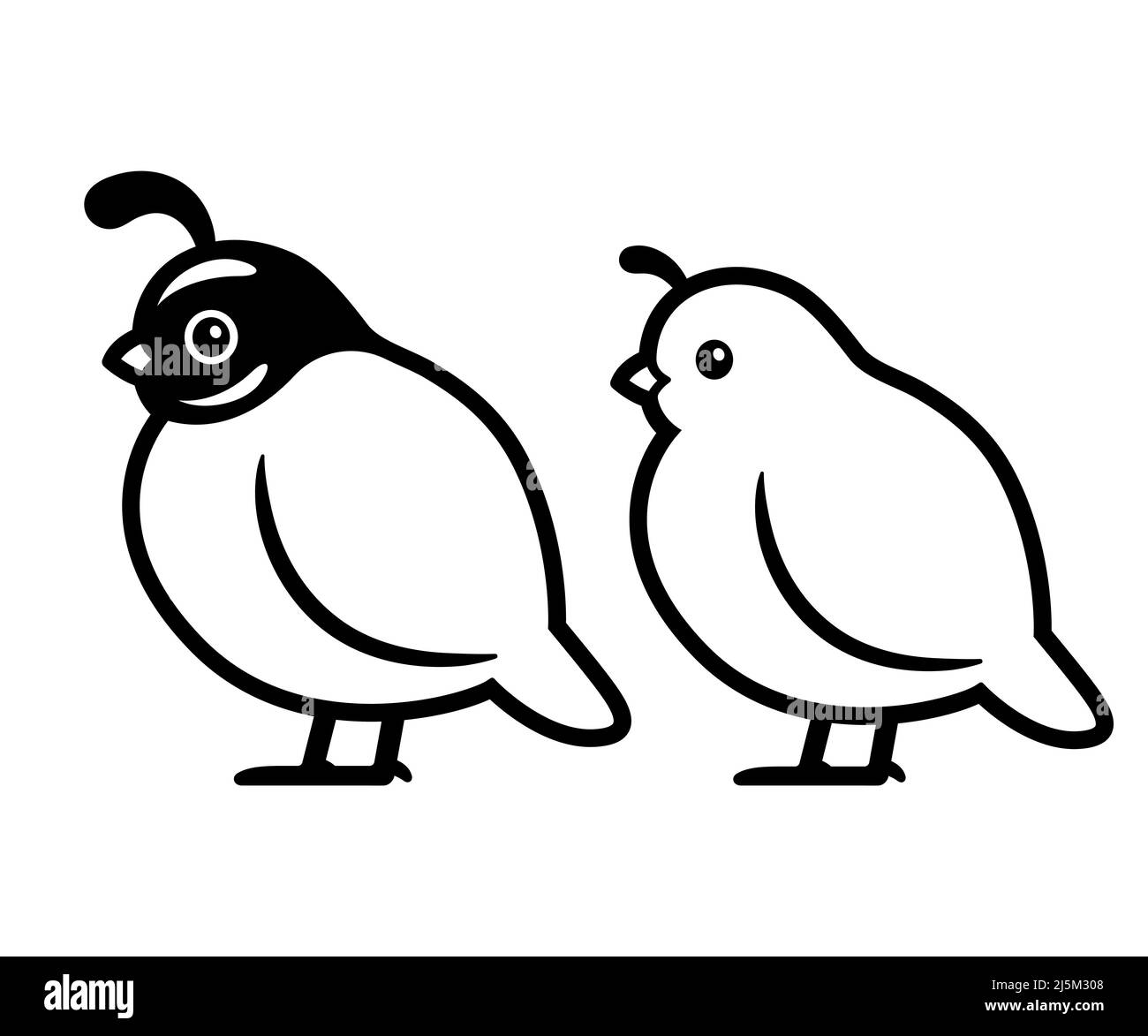Männliche und weibliche kalifornische Wachtelzeichnung. Einfaches Schwarz-Weiß-Logo oder -Symbol. Isolierte Vektorgrafik für Vögel. Stock Vektor